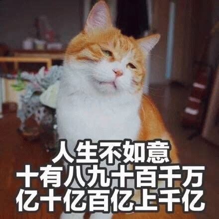 人生不如意十有八九